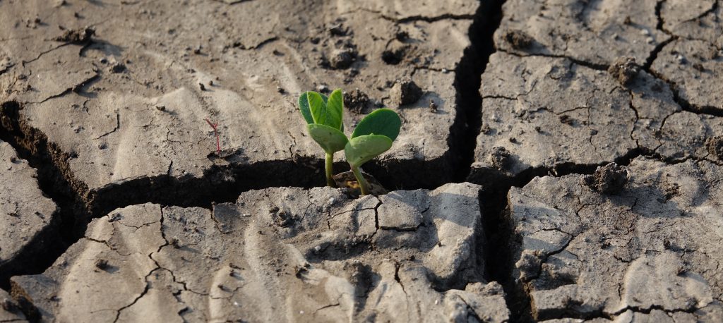 crisi climatica