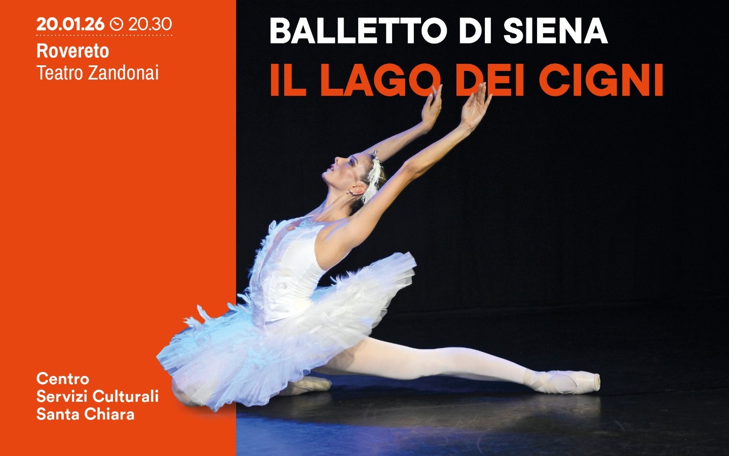 Il lago dei cigni
